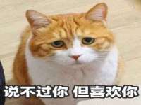龙港市方欣无纺布制袋有限公司