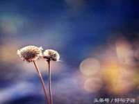 龙港市方欣无纺布制袋有限公司