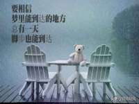 龙港市方欣无纺布制袋有限公司