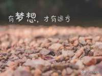 龙港市方欣无纺布制袋有限公司