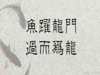 龙港市方欣无纺布制袋有限公司