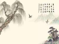 龙港市方欣无纺布制袋有限公司