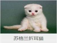 龙港市方欣无纺布制袋有限公司