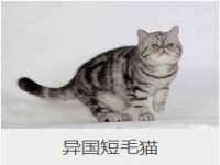 龙港市方欣无纺布制袋有限公司