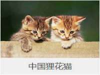 龙港市方欣无纺布制袋有限公司