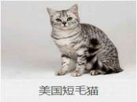 龙港市方欣无纺布制袋有限公司