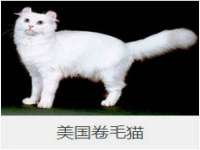 龙港市方欣无纺布制袋有限公司