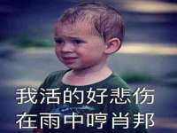 龙港市方欣无纺布制袋有限公司