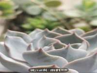 龙港市方欣无纺布制袋有限公司