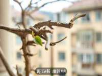 龙港市方欣无纺布制袋有限公司