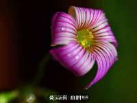 龙港市方欣无纺布制袋有限公司