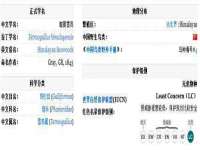 龙港市方欣无纺布制袋有限公司