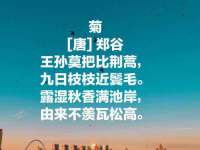 龙港市方欣无纺布制袋有限公司