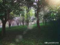 龙港市方欣无纺布制袋有限公司