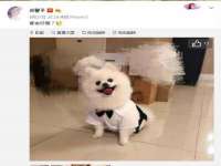 龙港市方欣无纺布制袋有限公司