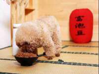 龙港市方欣无纺布制袋有限公司