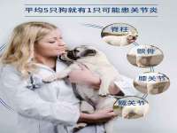 龙港市方欣无纺布制袋有限公司