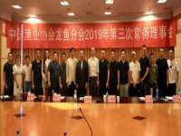 龙港市方欣无纺布制袋有限公司