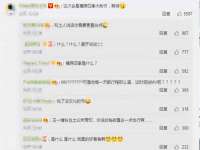 龙港市方欣无纺布制袋有限公司