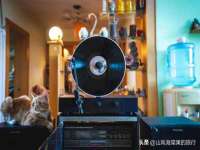 龙港市方欣无纺布制袋有限公司