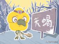 龙港市方欣无纺布制袋有限公司