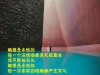 龙港市方欣无纺布制袋有限公司