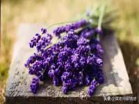 龙港市方欣无纺布制袋有限公司