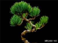 龙港市方欣无纺布制袋有限公司