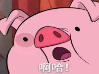 龙港市方欣无纺布制袋有限公司
