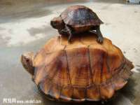 龙港市方欣无纺布制袋有限公司