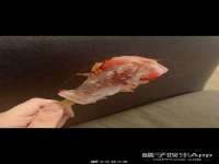 龙港市方欣无纺布制袋有限公司